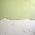Discover the Beauty of Limewash Paint for Your Home